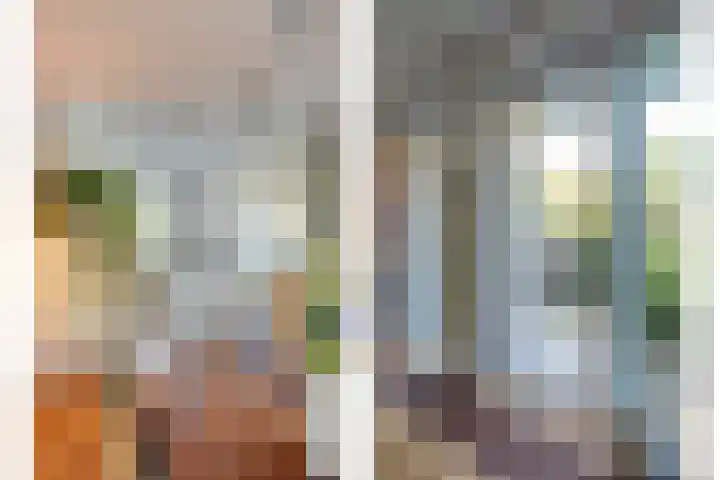 Asserlaan 9 Vlijmen thumbnail 8