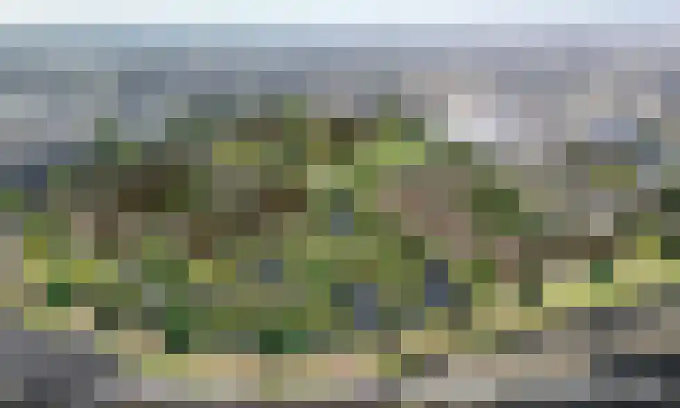 Asserpark 129 Ridderkerk thumbnail 43