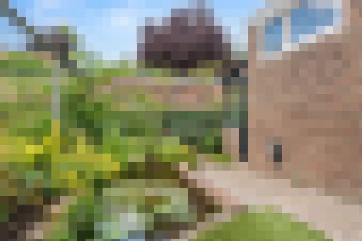 Asserpark 5 Wageningen thumbnail 14
