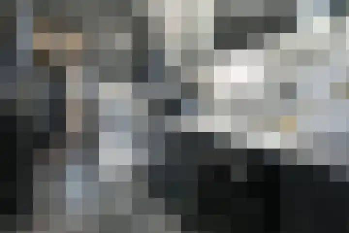 Asserpark 8 Wageningen thumbnail 10