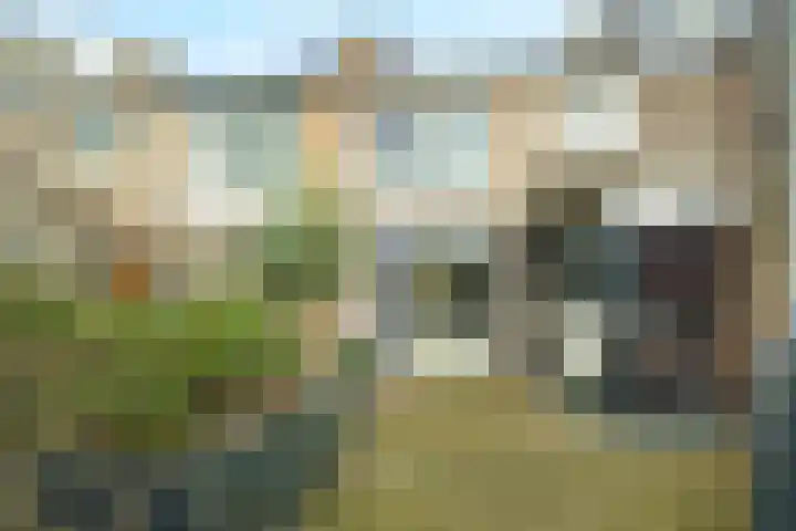 Asserpark 8 Wageningen thumbnail 19