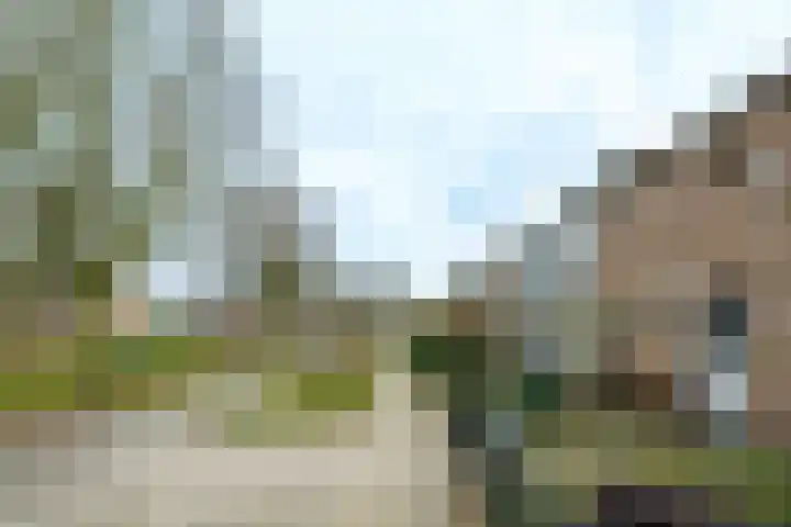 Asserpark 8 Wageningen thumbnail 21