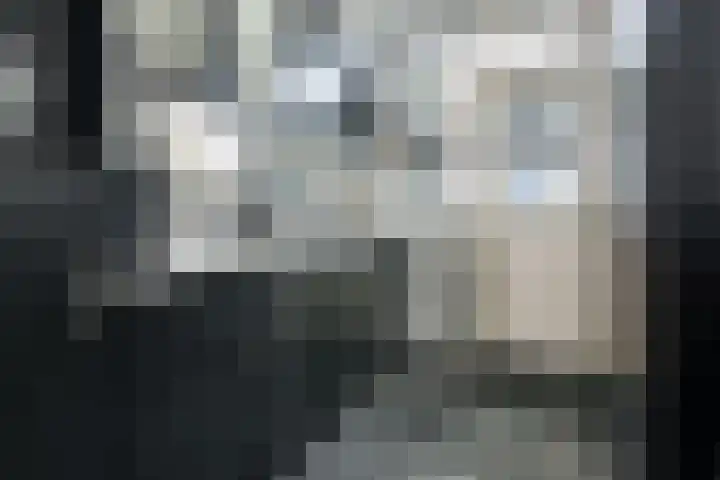 Asserpark 8 Wageningen thumbnail 9