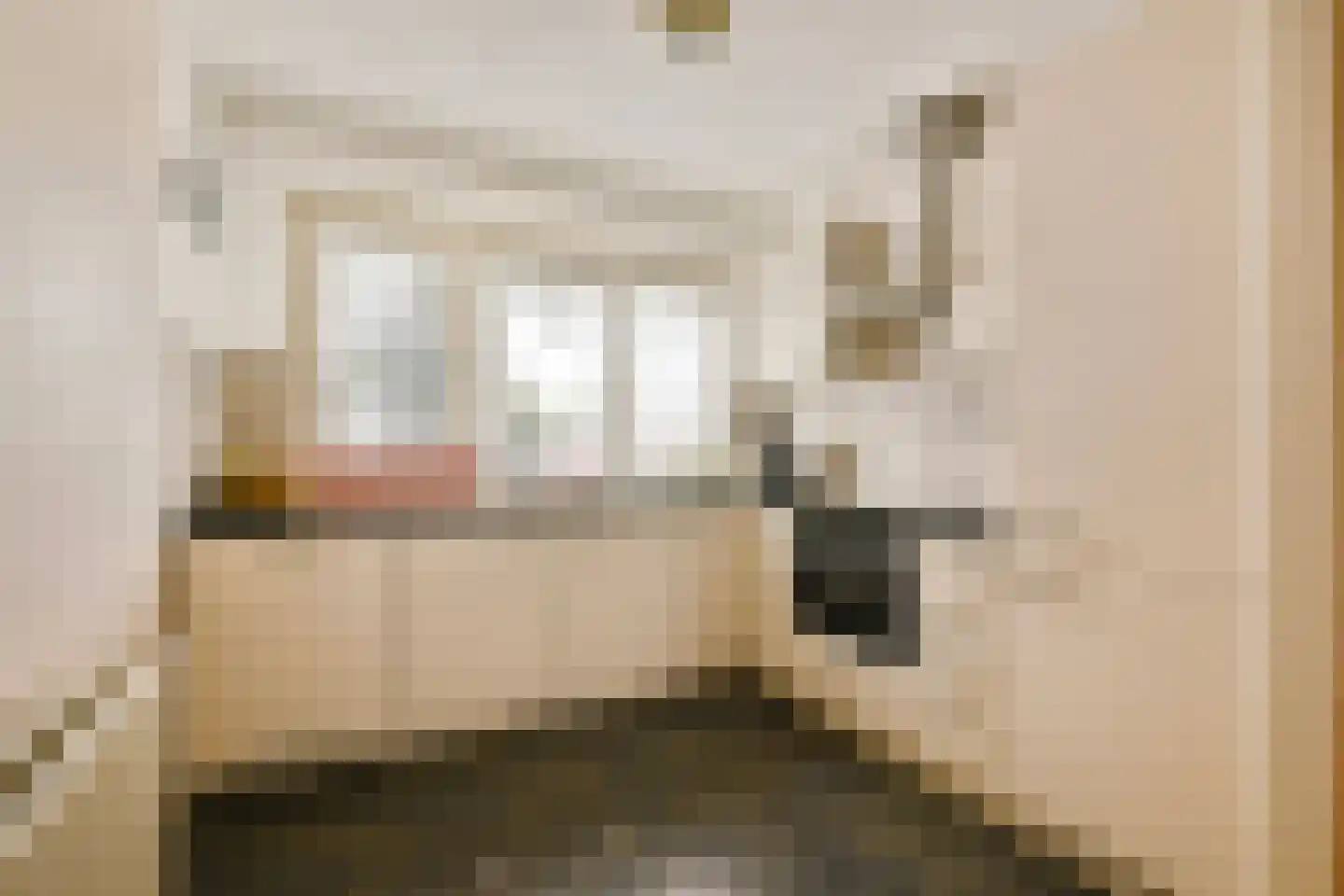 Asserring 111 Amstelveen thumbnail 11
