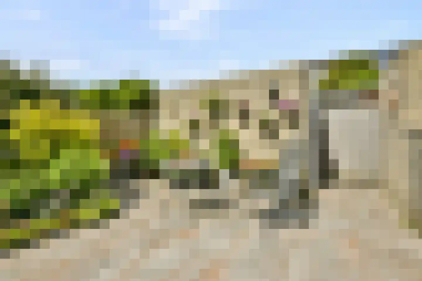 Asserring 111 Amstelveen thumbnail 13