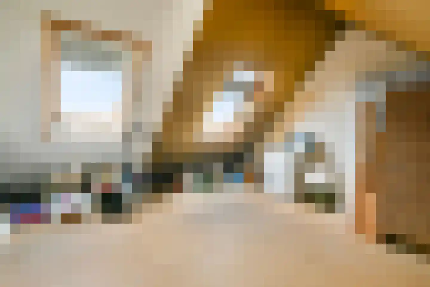 Asserring 111 Amstelveen thumbnail 19
