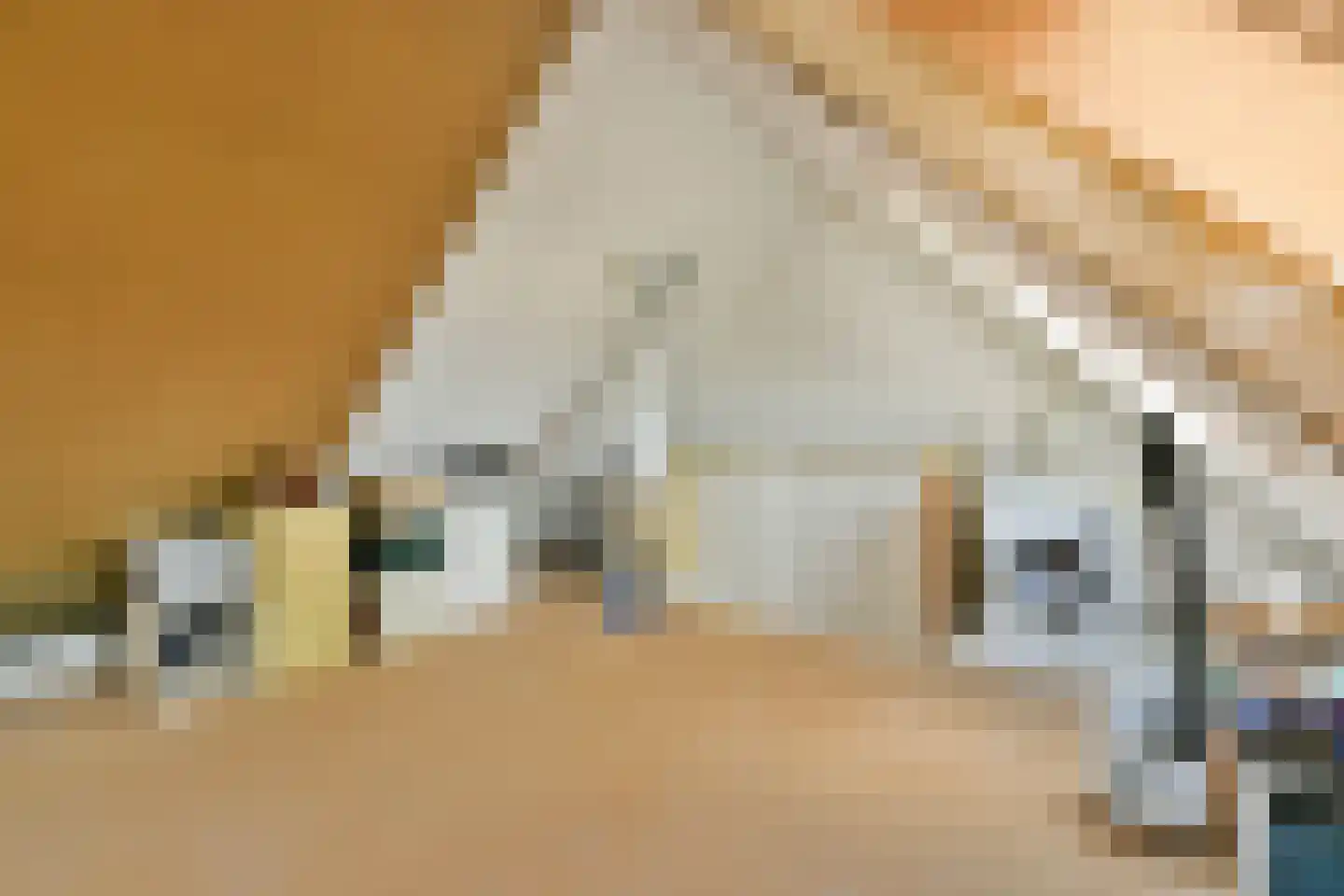 Asserring 111 Amstelveen thumbnail 20