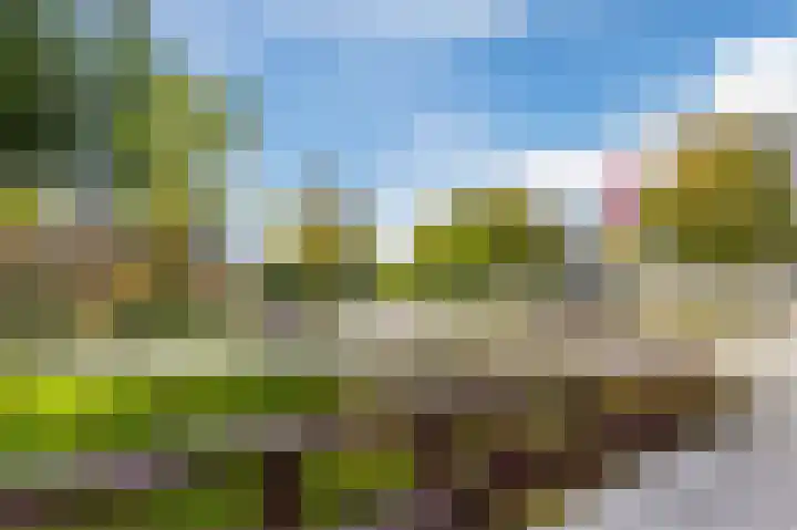 Asserring 47 Amstelveen thumbnail 57