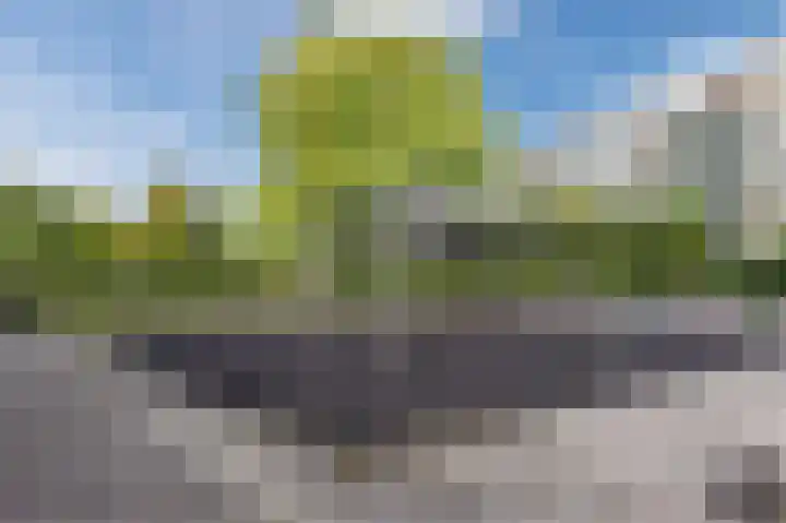 Asserring 47 Amstelveen thumbnail 59