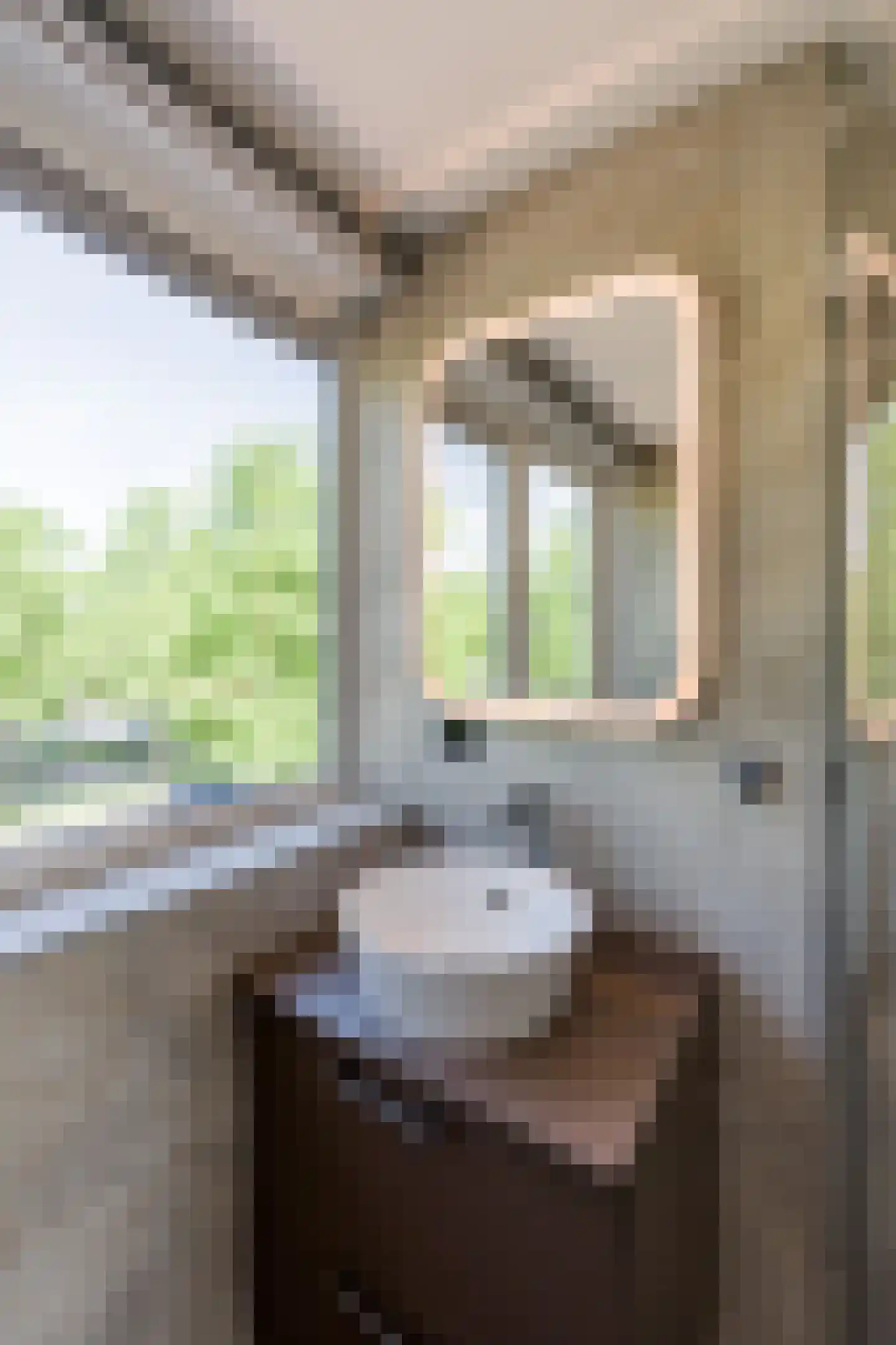 Asserring 53 Amstelveen thumbnail 31