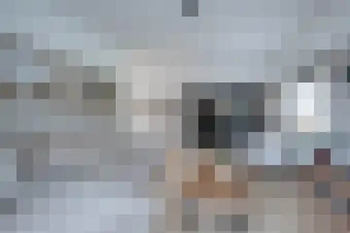 Asserstraat 1 a Rolde thumbnail 6