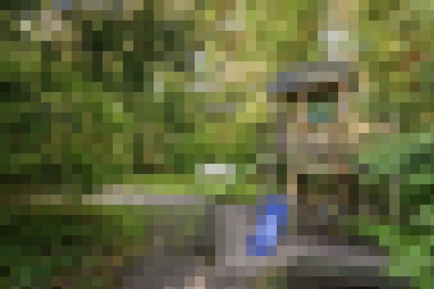 Asserstraat 12 Norg thumbnail 10