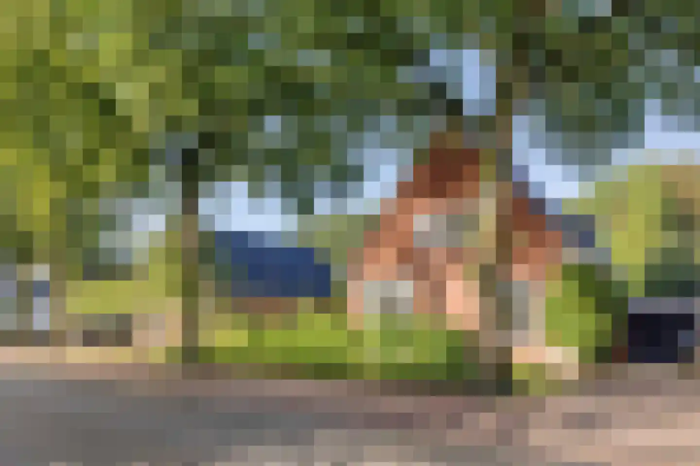 Asserstraat 12 Norg thumbnail 13