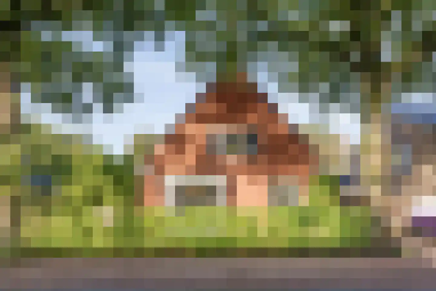 Asserstraat 12 Norg thumbnail 14