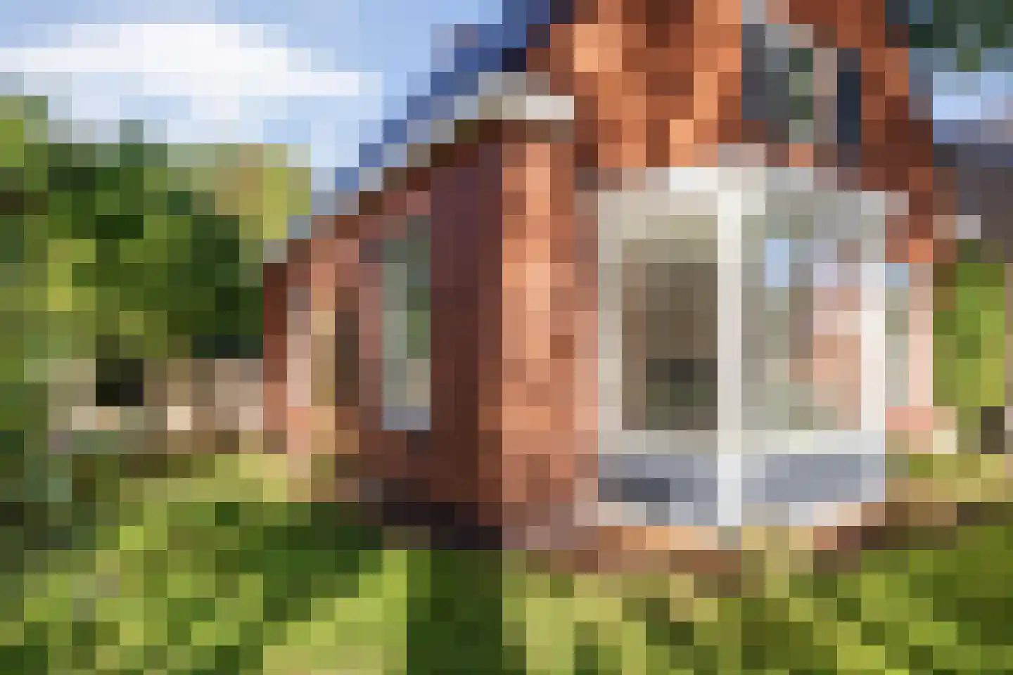 Asserstraat 12 Norg thumbnail 15