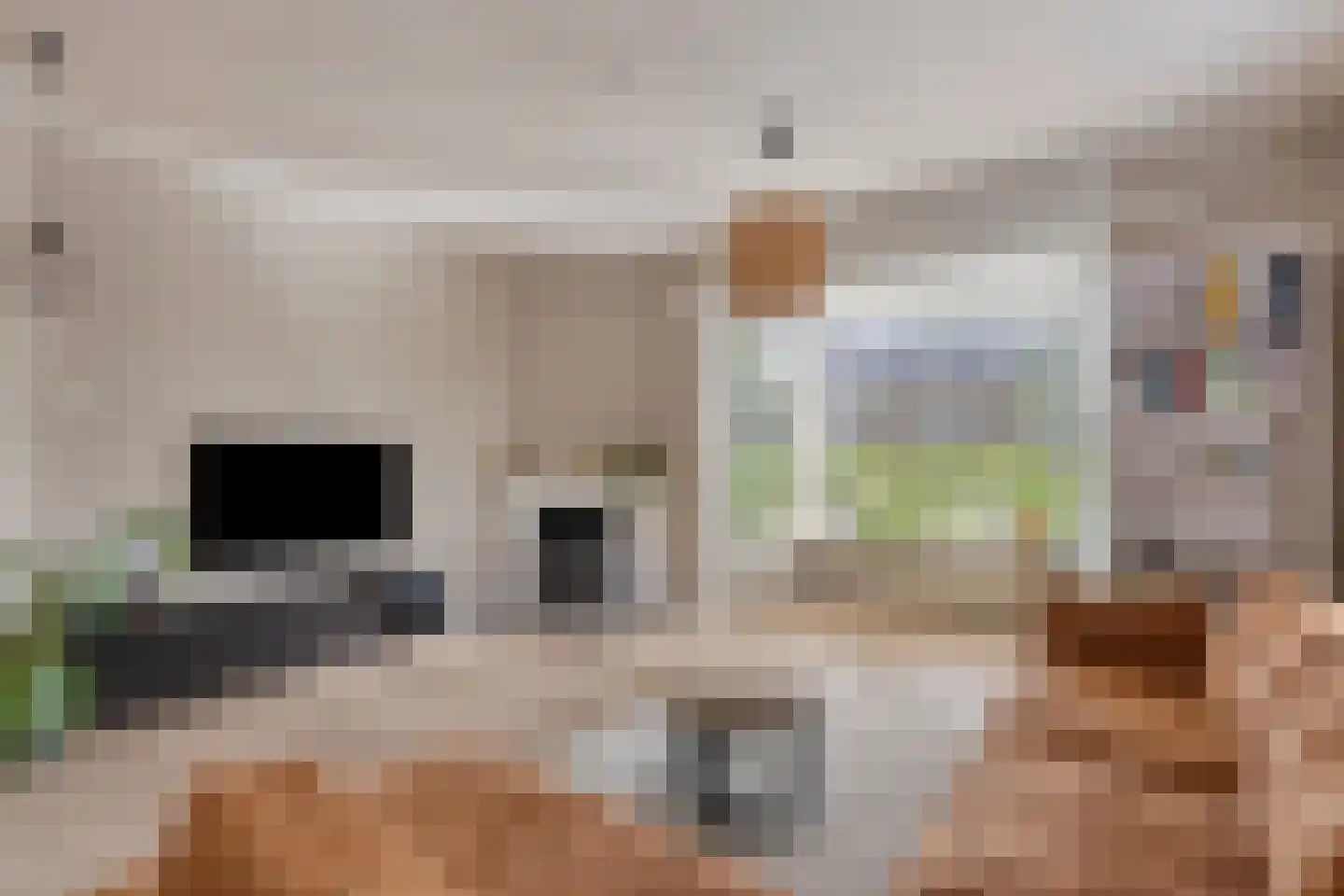 Asserstraat 12 Norg thumbnail 20