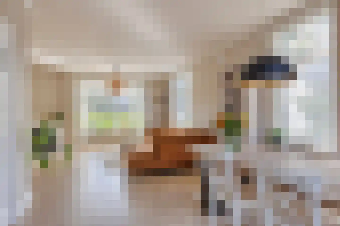 Asserstraat 12 Norg thumbnail 23