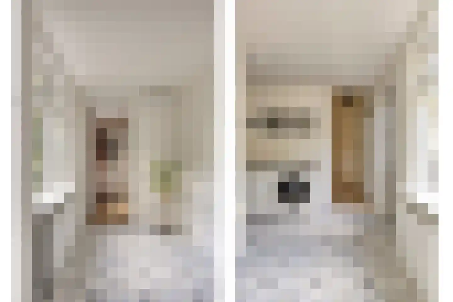 Asserstraat 12 Norg thumbnail 28