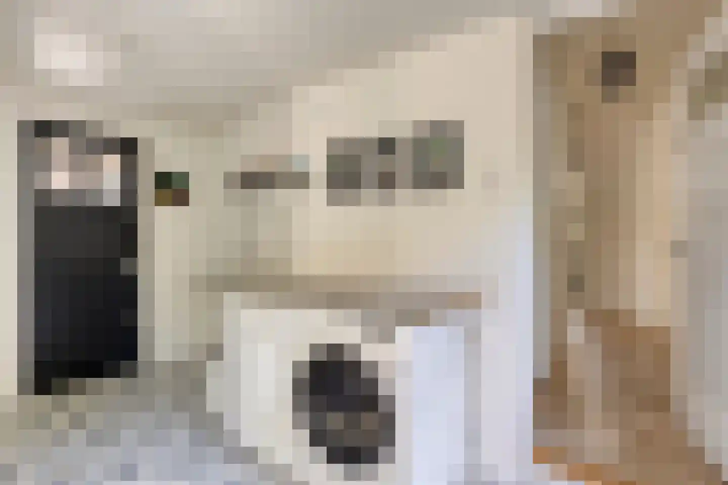 Asserstraat 12 Norg thumbnail 29