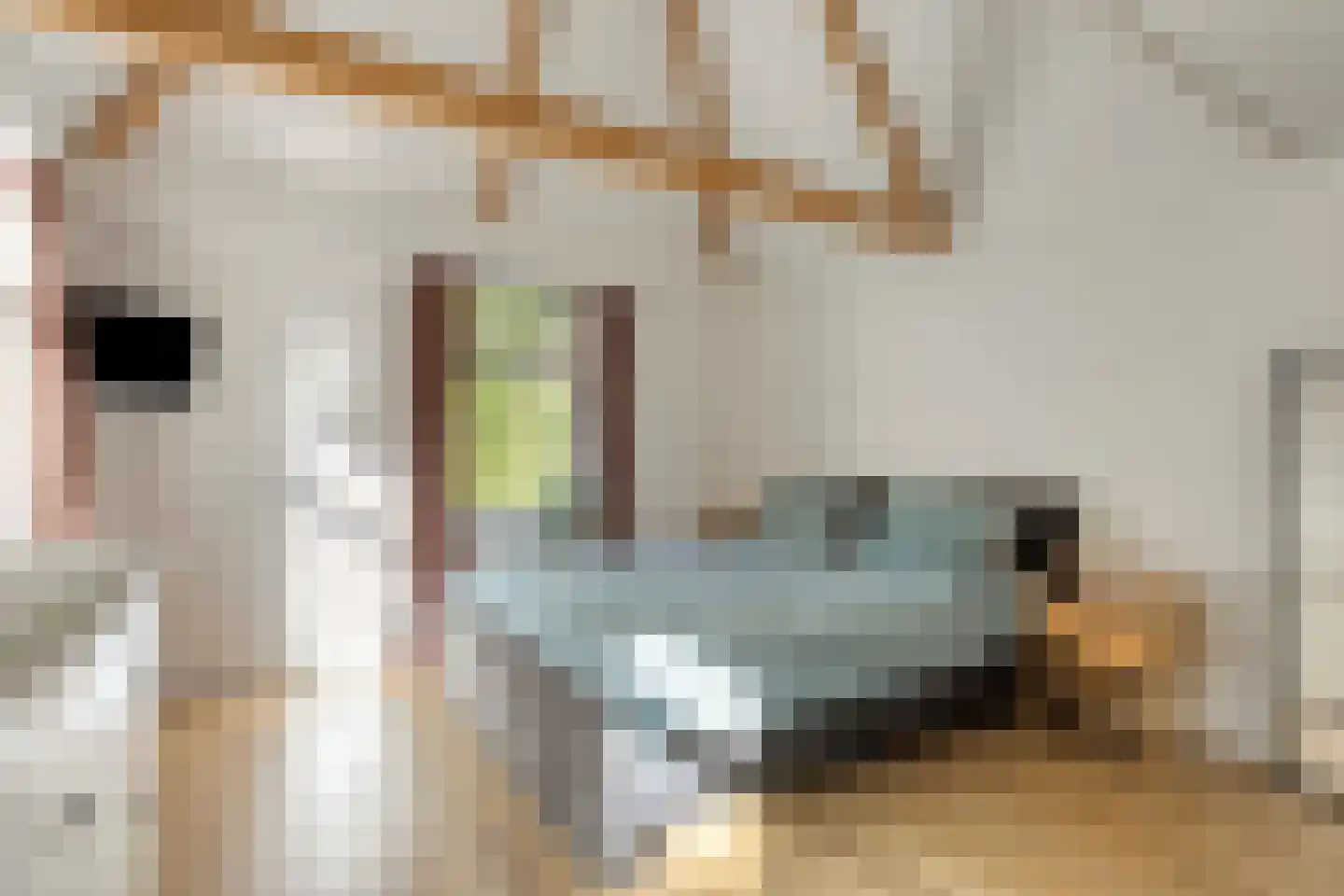 Asserstraat 12 Norg thumbnail 30