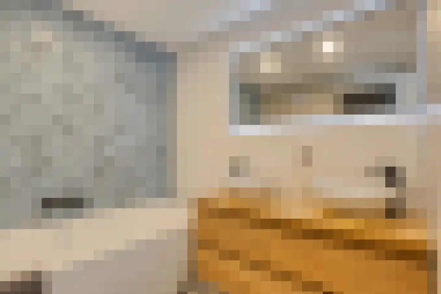 Asserstraat 12 Norg thumbnail 34