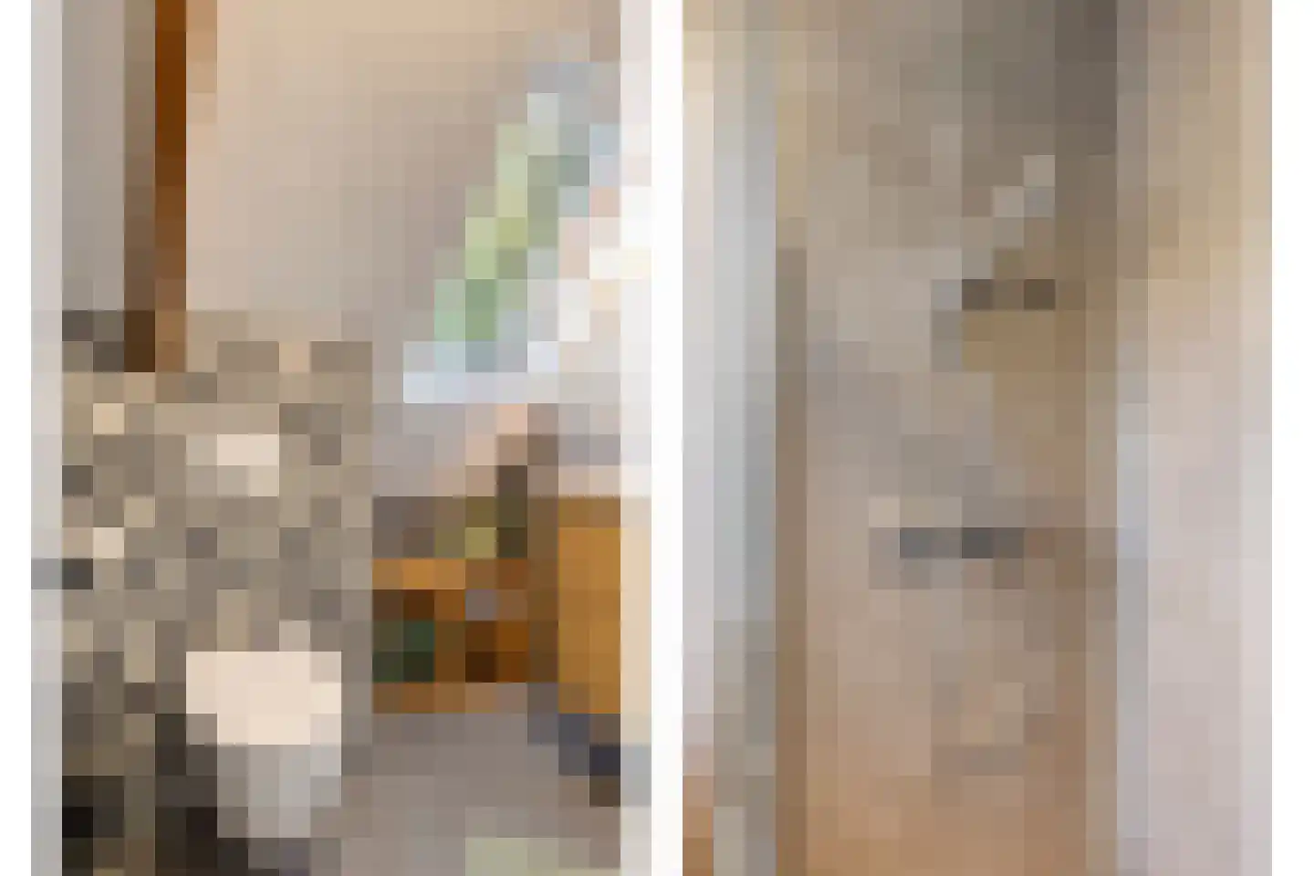 Asserstraat 12 Norg thumbnail 39