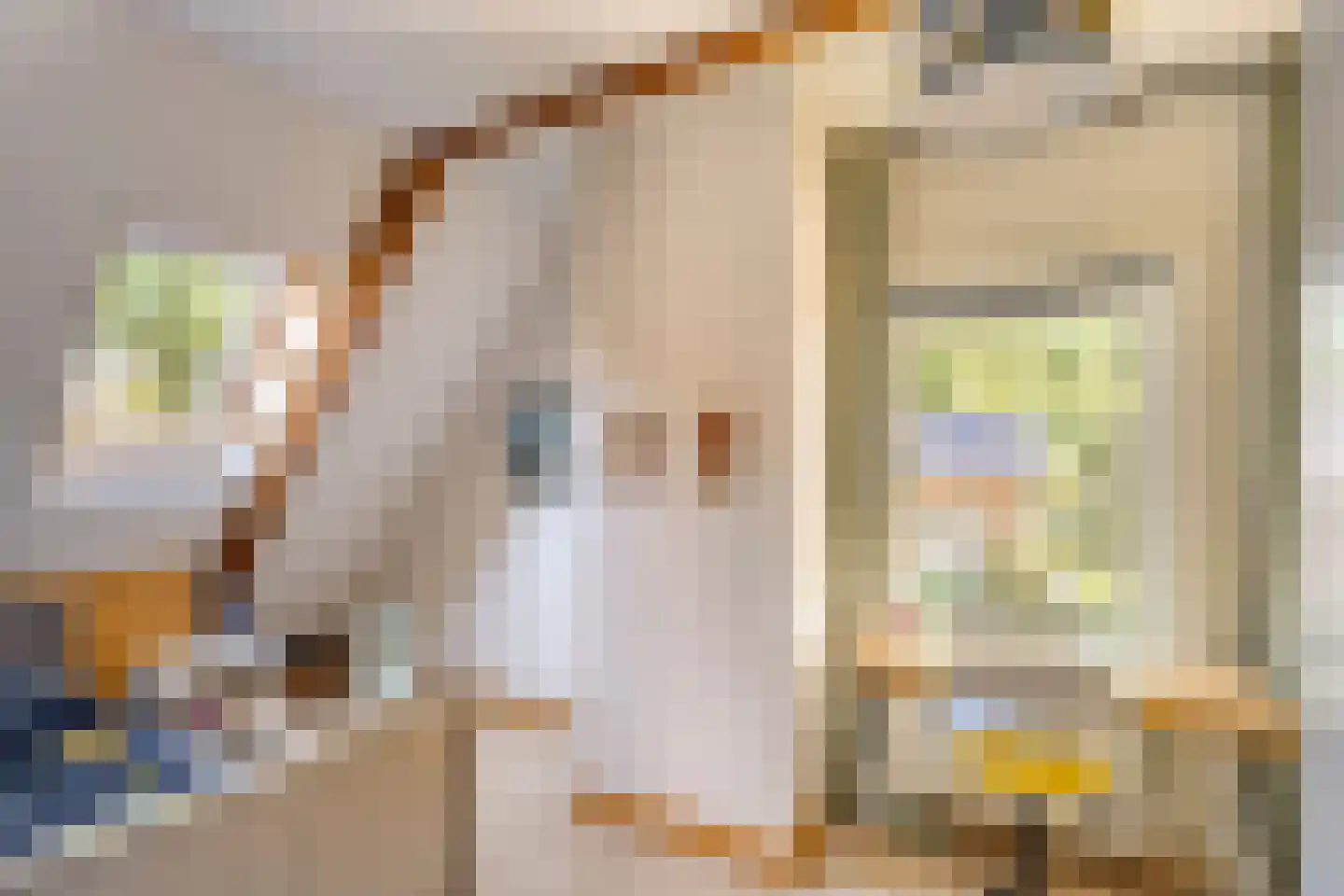 Asserstraat 12 Norg thumbnail 40