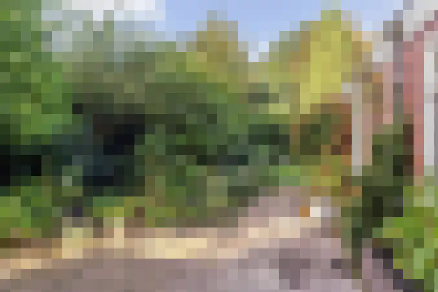 Asserstraat 12 Norg thumbnail 44
