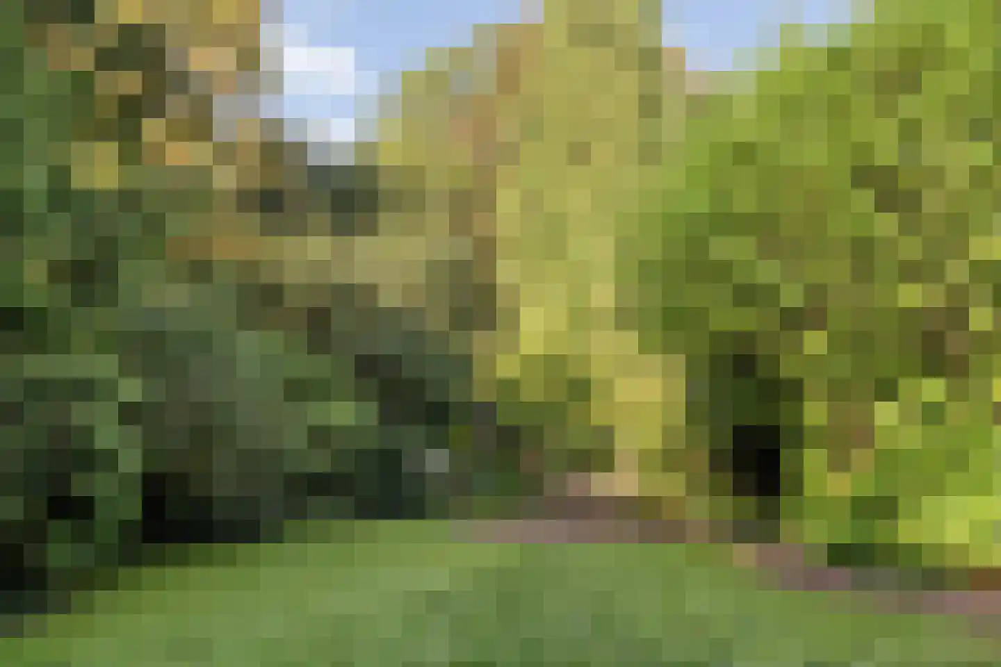 Asserstraat 12 Norg thumbnail 46