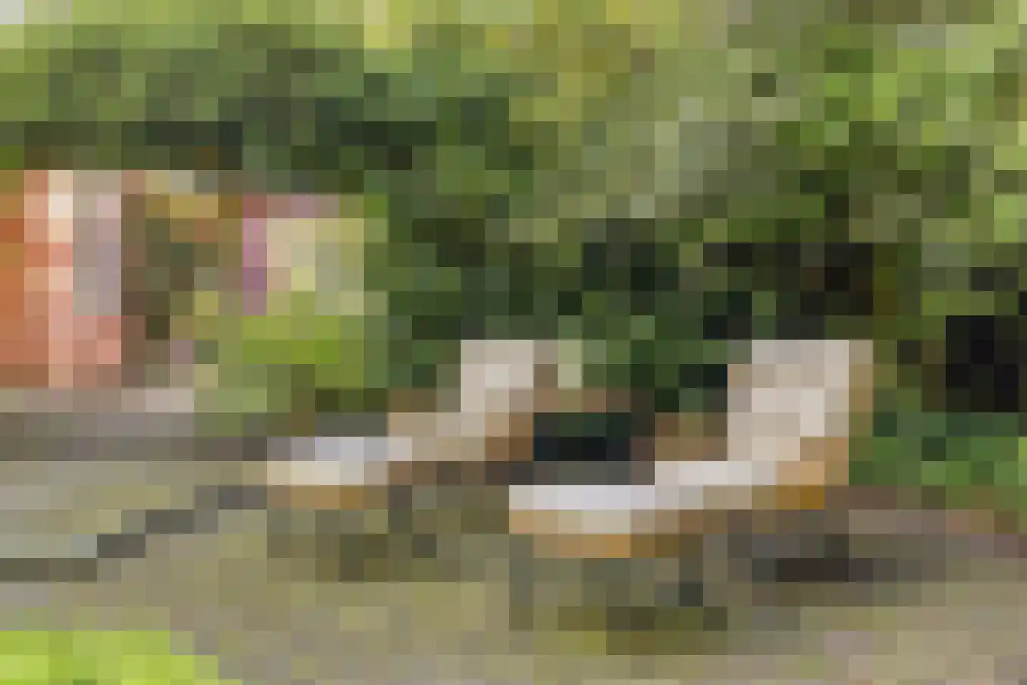 Asserstraat 12 Norg thumbnail 48