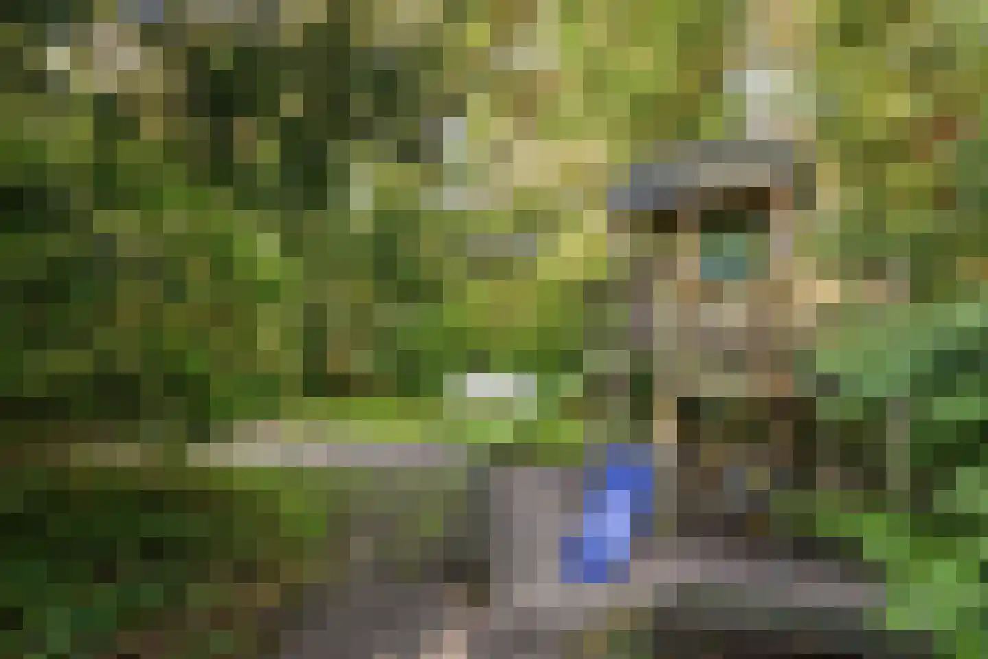 Asserstraat 12 Norg thumbnail 49