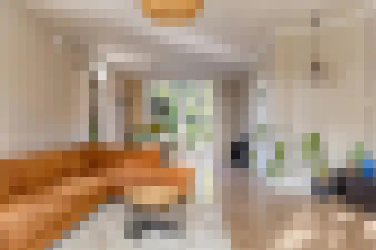 Asserstraat 12 Norg thumbnail 5