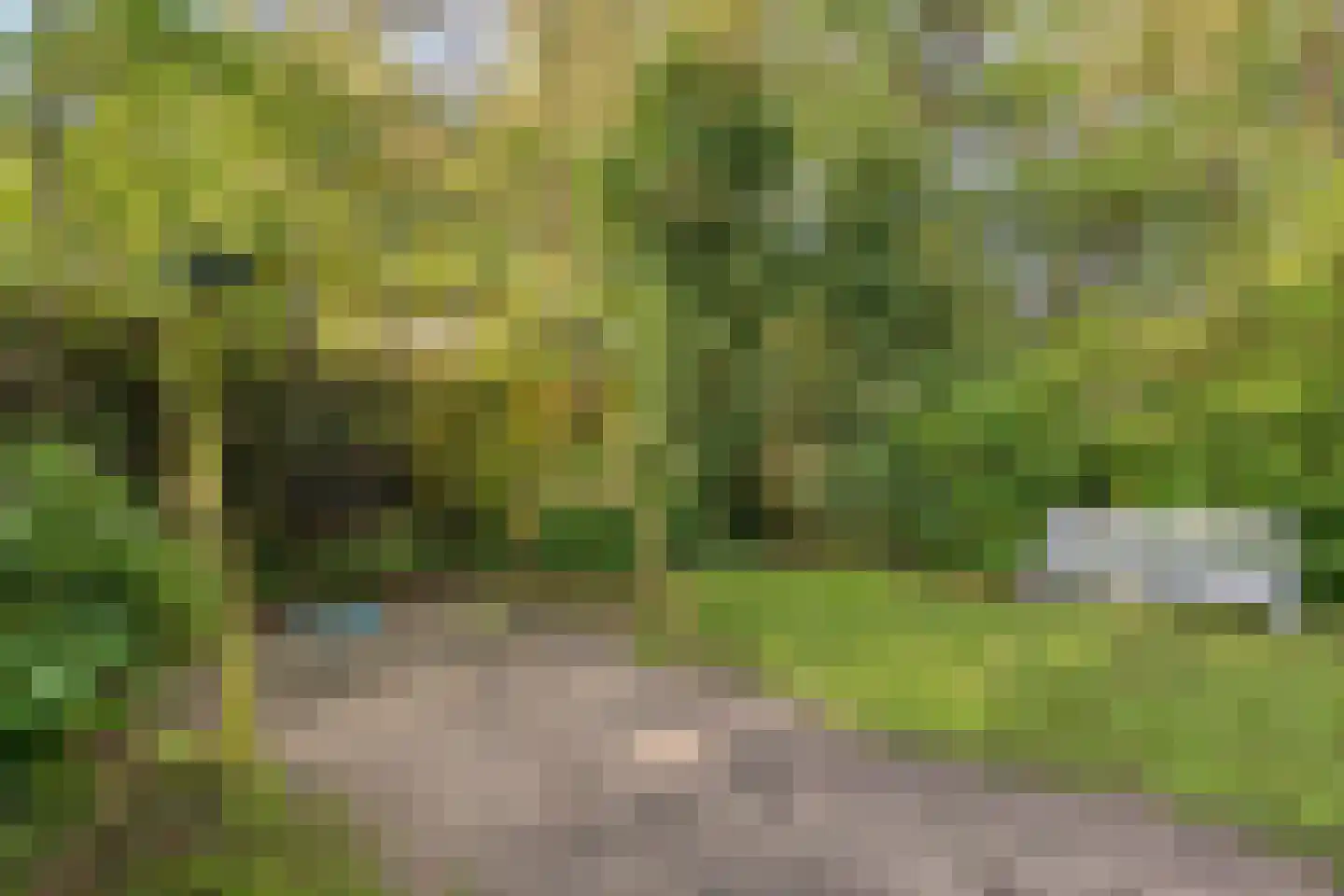 Asserstraat 12 Norg thumbnail 50