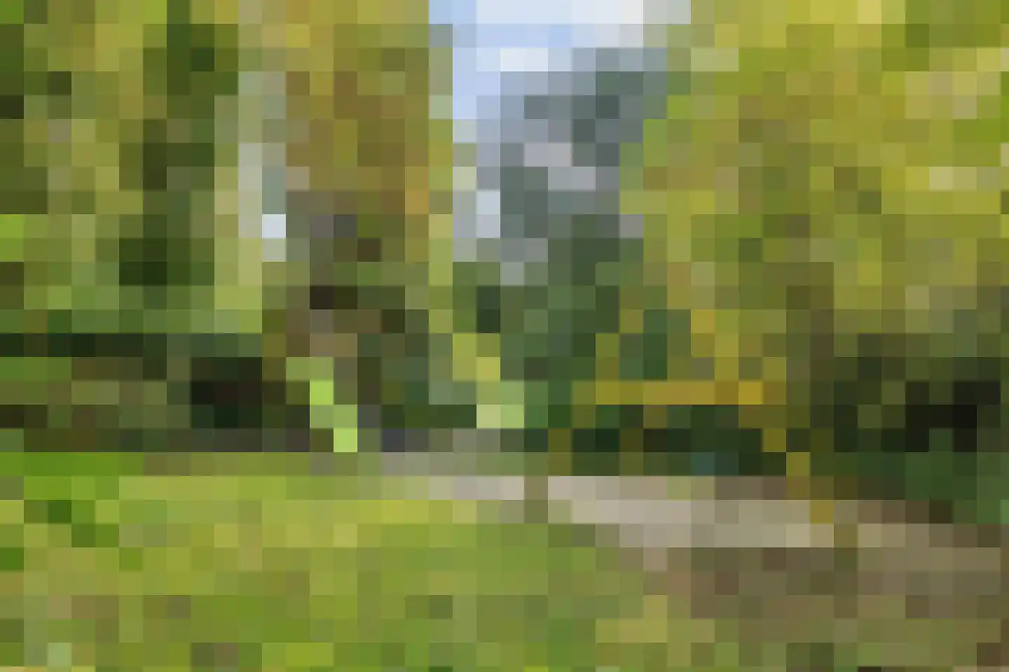 Asserstraat 12 Norg thumbnail 51