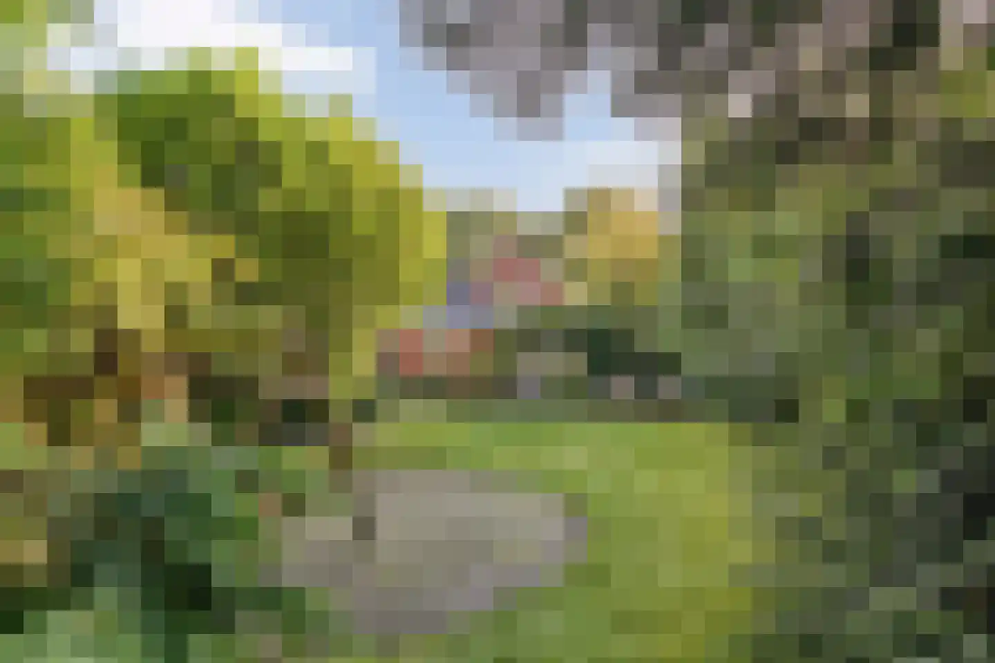 Asserstraat 12 Norg thumbnail 52