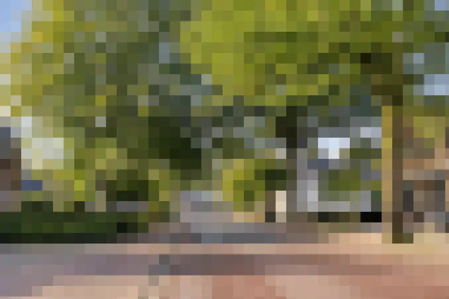 Asserstraat 12 Norg thumbnail 53