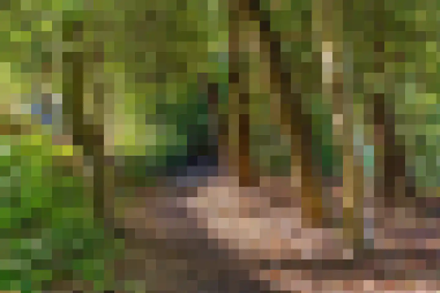 Asserstraat 12 Norg thumbnail 54