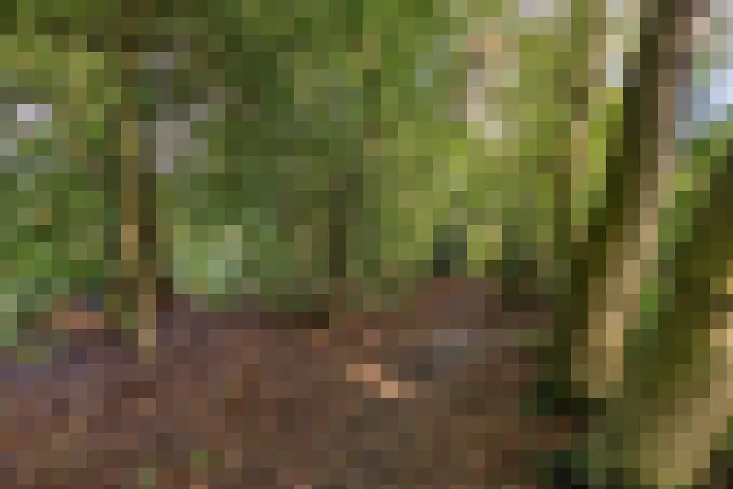 Asserstraat 12 Norg thumbnail 55