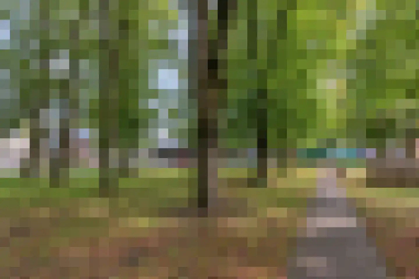 Asserstraat 12 Norg thumbnail 56