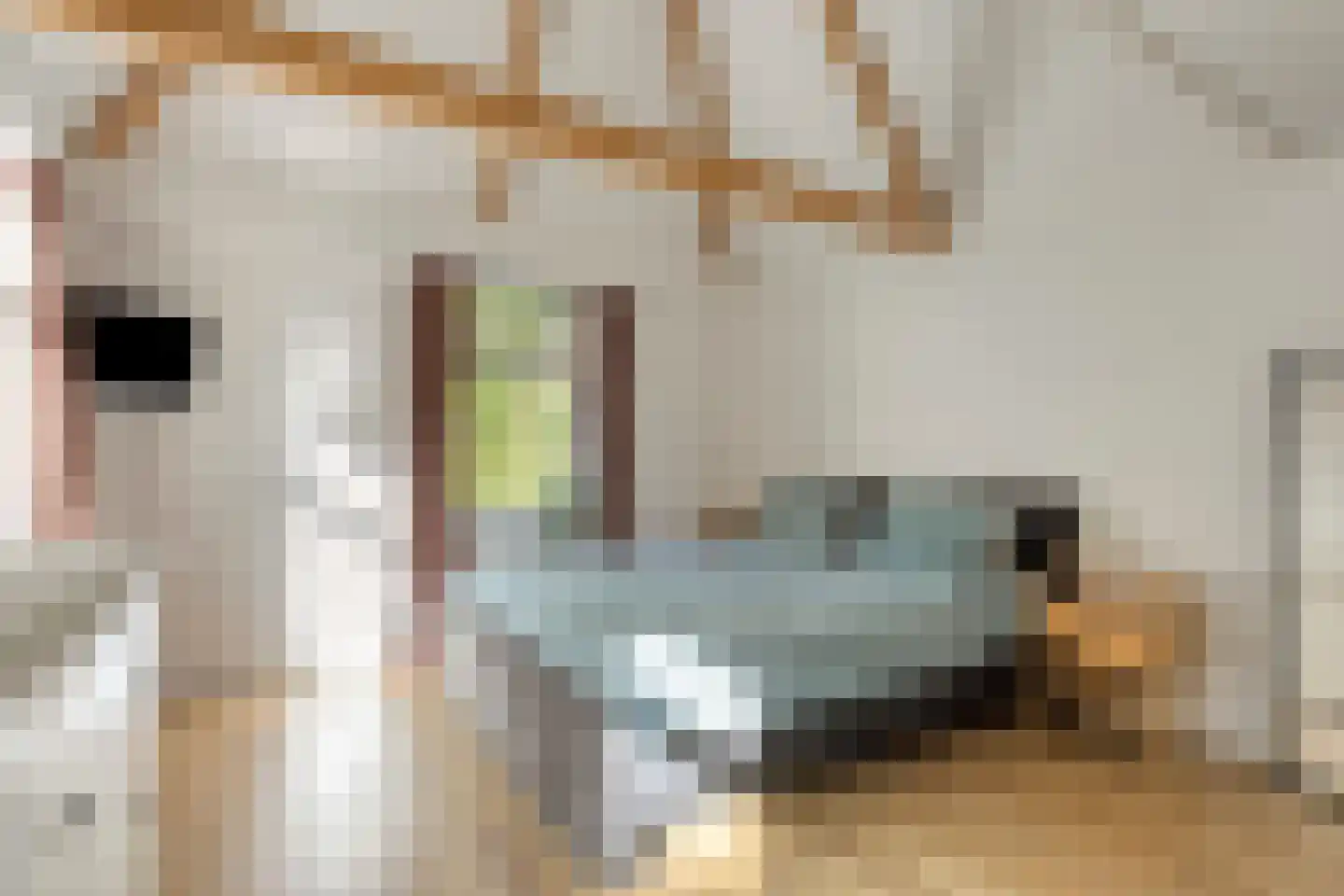 Asserstraat 12 Norg thumbnail 7