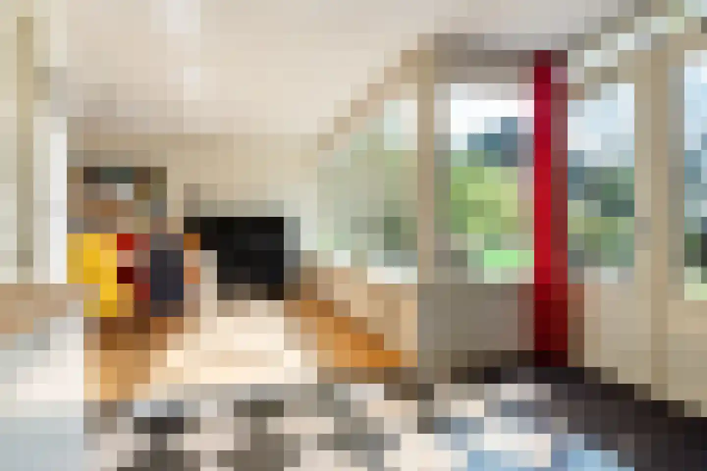 Asserstraat 15 Rolde thumbnail 19