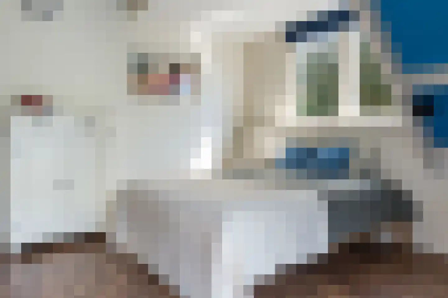Asserstraat 15 Rolde thumbnail 30