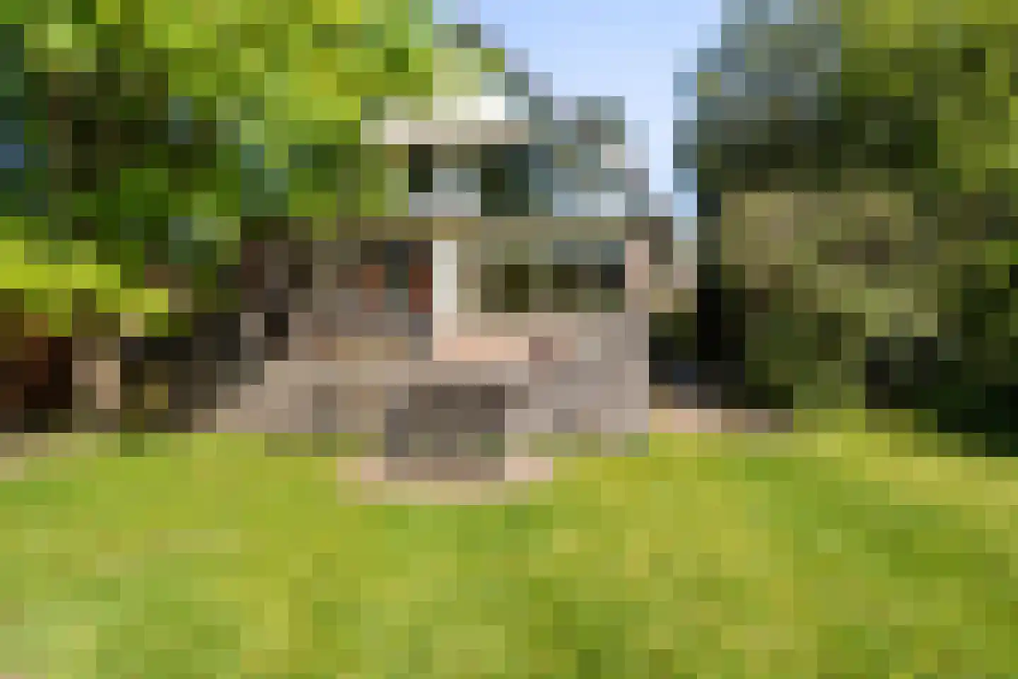 Asserstraat 15 Rolde thumbnail 44