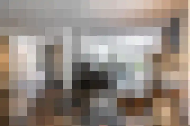 Asserstraat 18 A Norg thumbnail 13