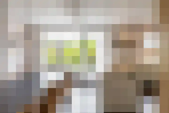 Asserstraat 18 A Norg thumbnail 19