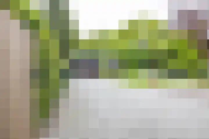 Asserstraat 18 A Norg thumbnail 26