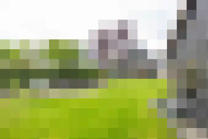 Asserstraat 18 A Norg thumbnail 27