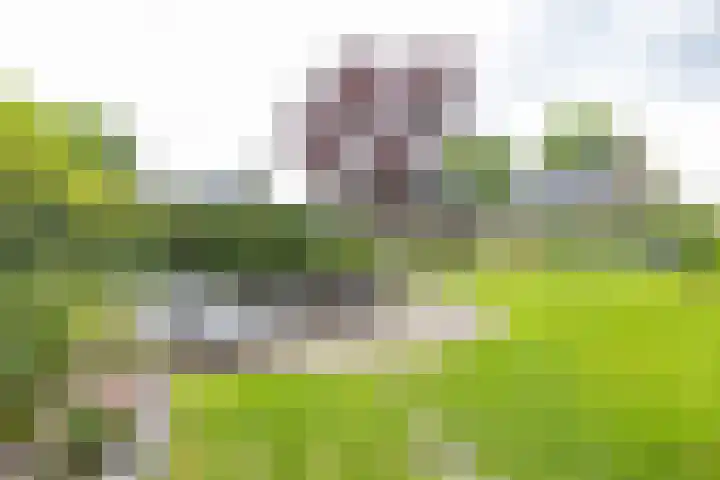 Asserstraat 18 A Norg thumbnail 28