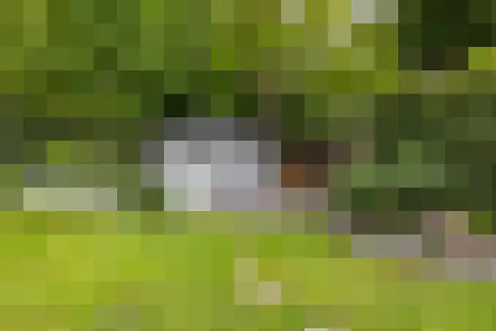 Asserstraat 18 A Norg thumbnail 29