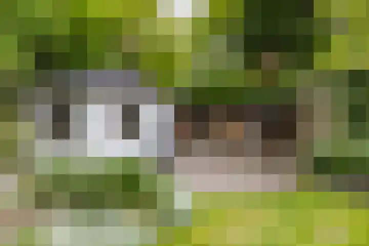 Asserstraat 18 A Norg thumbnail 30